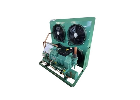 Fábrica 3hp 5hp 6hp 10hp Alemania Unidad de condensación de compresores refrigerados por aire para refrigeración del sistema de refrigeración