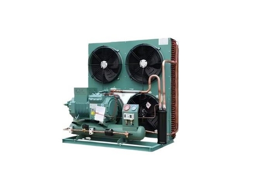 Fábrica 3hp 5hp 6hp 10hp Alemania Unidad de condensación de compresores refrigerados por aire para refrigeración del sistema de refrigeración