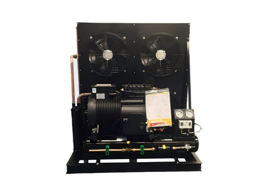 Fábrica 3hp 5hp 6hp 10hp Alemania Unidad de condensación de compresores refrigerados por aire para refrigeración del sistema de refrigeración