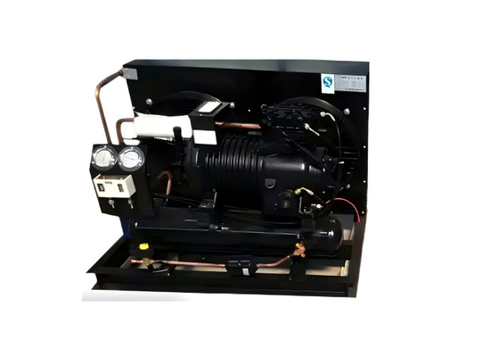 Fábrica 3hp 5hp 6hp 10hp Alemania Unidad de condensación de compresores refrigerados por aire para refrigeración del sistema de refrigeración
